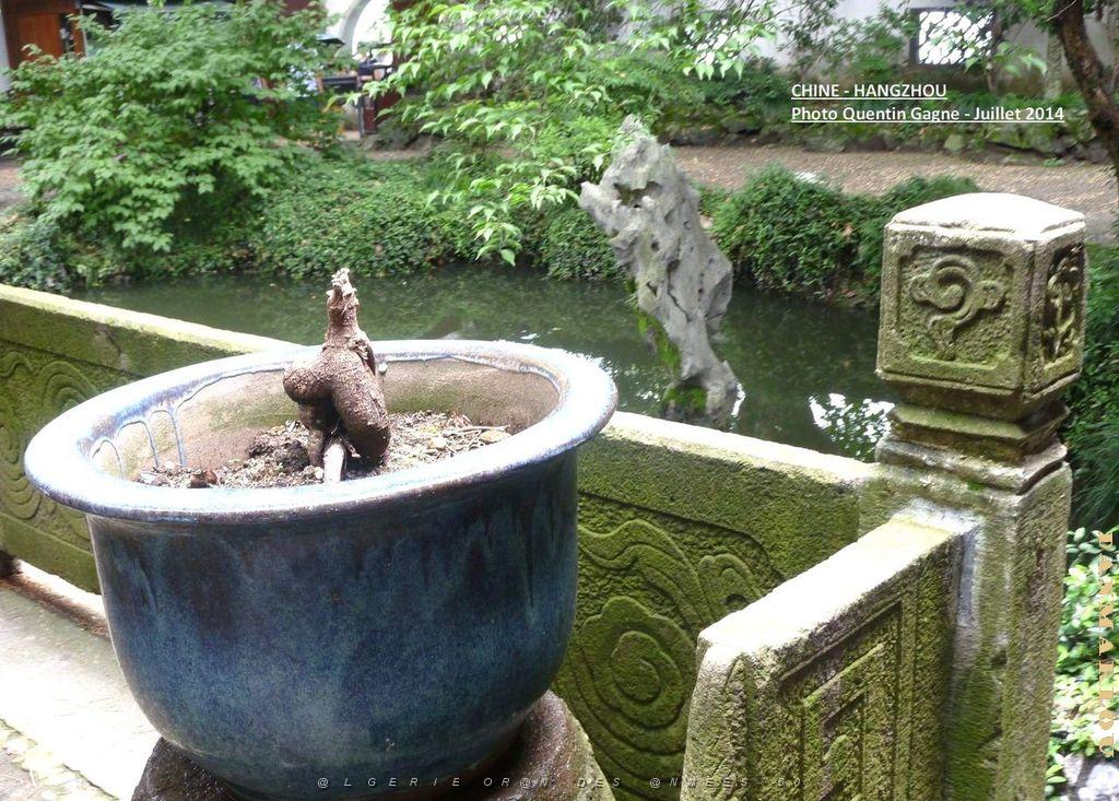 Quentin- Hangzhou 032.JPG